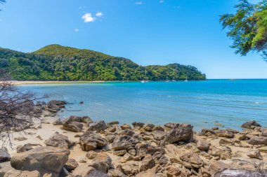 Yeni Zelanda 'daki Abel Tasman Ulusal Parkı' ndaki Bark Körfezi.