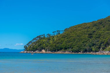 Yeni Zelanda 'daki Abel Tasman Ulusal Parkı' ndaki Bark Körfezi.