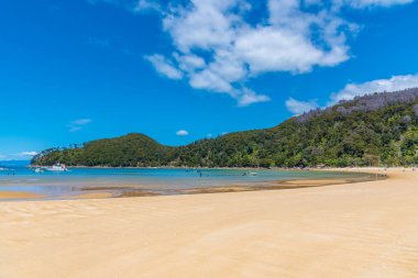 Yeni Zelanda 'daki Abel Tasman Ulusal Parkı' ndaki Bark Körfezi.