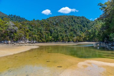 Yeni Zelanda 'daki Abel Tasman Ulusal Parkı' ndaki Bark Körfezi Halkı