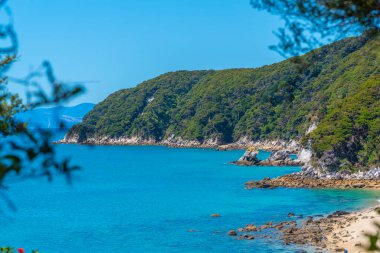 Yeni Zelanda 'daki Abel Tasman ulusal parkının kıyı şeridi görüntüsü