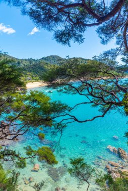 Onetahuti plajı Yeni Zelanda 'daki Abel Tasman ulusal parkında.