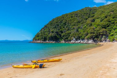 Yeni Zelanda 'daki Abel Tasman Ulusal Parkı' ndaki Onetahuti plajında sarı kanolar.
