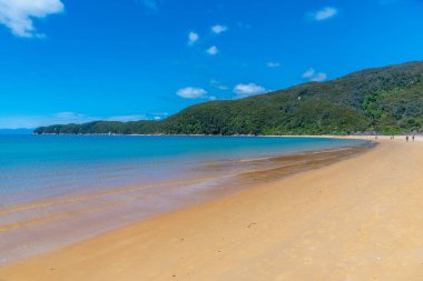 Onetahuti plajı Yeni Zelanda 'daki Abel Tasman ulusal parkında.