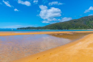 Onetahuti plajı Yeni Zelanda 'daki Abel Tasman ulusal parkında.