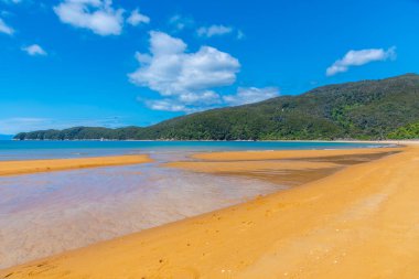 Onetahuti plajı Yeni Zelanda 'daki Abel Tasman ulusal parkında.