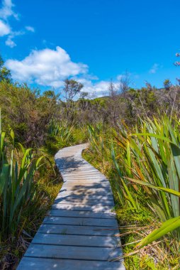 Yeni Zelanda 'daki Abel Tasman Ulusal Parkı' ndaki sulak alanlar