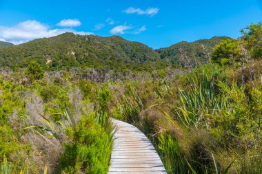 Yeni Zelanda 'daki Abel Tasman Ulusal Parkı' ndaki sulak alanlar