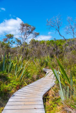 Yeni Zelanda 'daki Abel Tasman Ulusal Parkı' ndaki sulak alanlar