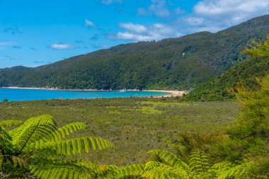 Yeni Zelanda 'daki Abel Tasman Ulusal Parkı' ndaki Onetahuti plajının havadan görüntüsü