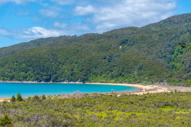 Yeni Zelanda 'daki Abel Tasman Ulusal Parkı' ndaki Onetahuti plajının havadan görüntüsü