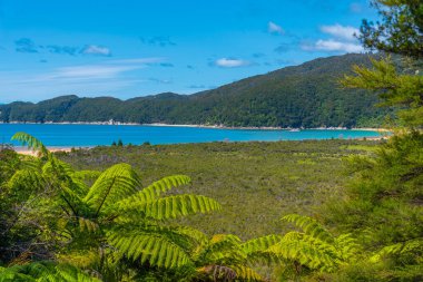 Yeni Zelanda 'daki Abel Tasman Ulusal Parkı' ndaki Onetahuti plajının havadan görüntüsü