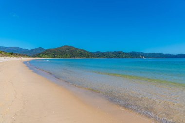 Awaroa plajı Yeni Zelanda 'daki Abel Tasman Ulusal Parkı