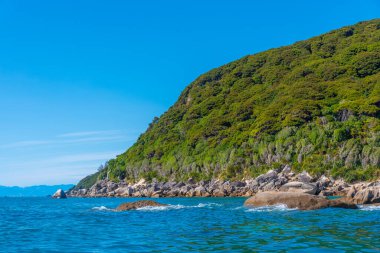 Yeni Zelanda 'daki Abel Tasman ulusal parkının kıyı şeridi