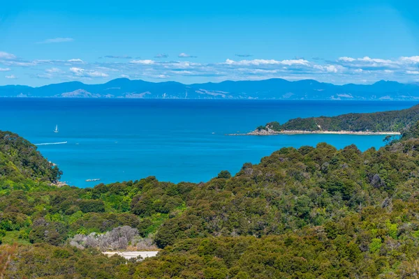 Повітряний Вид Берегову Лінію Національного Парку Абель Тасман Новій Зеландії — стокове фото