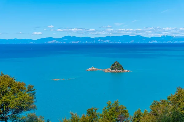 Νήσος Pinnacle Στο Εθνικό Πάρκο Abel Tasman Στη Νέα Ζηλανδία — Φωτογραφία Αρχείου