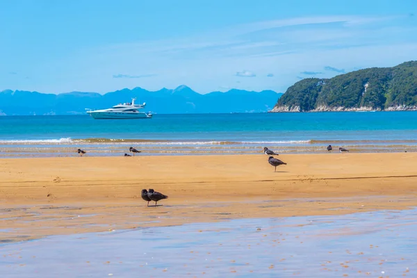 Spiaggia Onetahuti Nel Parco Nazionale Abel Tasman Nuova Zelanda — Foto Stock