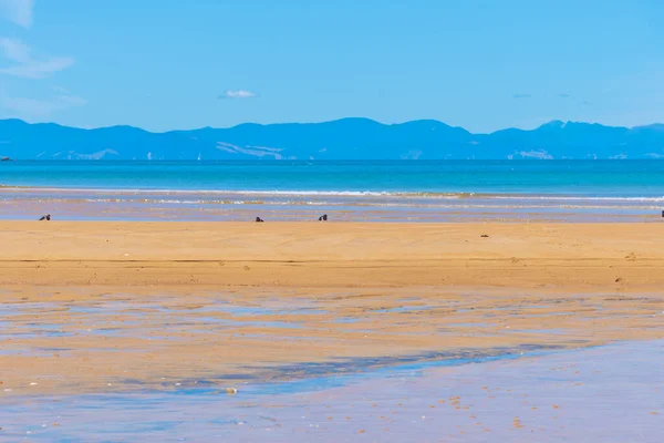 Onetahuti Plajı Yeni Zelanda Daki Abel Tasman Ulusal Parkında — Stok fotoğraf