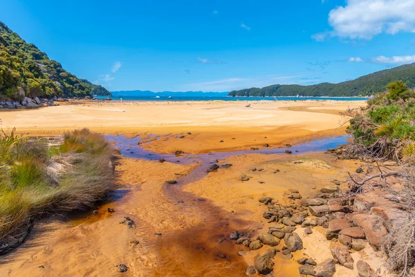 Richardson Stream Abel Tasman National Park New Zealand — Stock Photo, Image