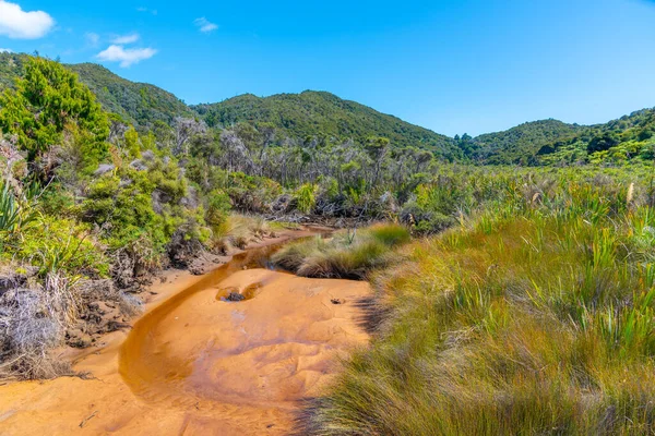 Річка Річардсон Національному Парку Абель Тасман Новій Зеландії — стокове фото