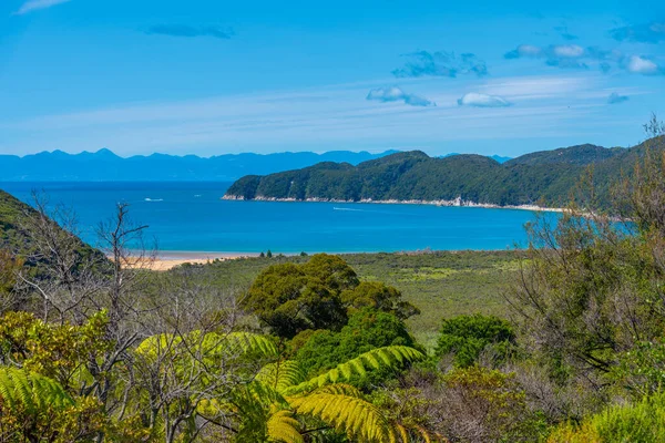 Vista Aérea Playa Onetahuti Parque Nacional Abel Tasman Nueva Zelanda —  Fotos de Stock