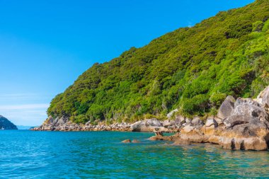 Yeni Zelanda 'daki Abel Tasman ulusal parkının kıyı şeridi