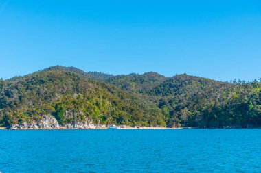 Yeni Zelanda 'daki Abel Tasman ulusal parkının kıyı şeridi