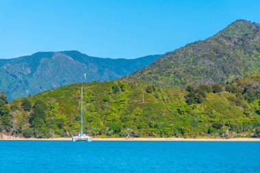 Yeni Zelanda 'daki Abel Tasman ulusal parkının kıyı şeridi