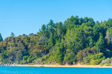 Yeni Zelanda 'daki Abel Tasman ulusal parkının kıyı şeridi