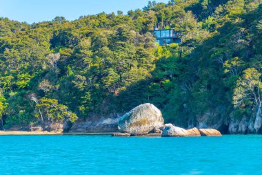 Yeni Zelanda 'daki Abel Tasman ulusal parkında Apple Rock' ı böl