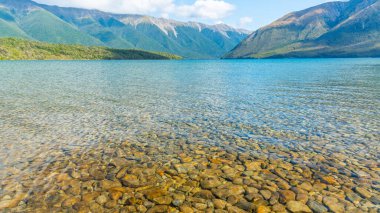 View of lake Rotoiti in New Zealand clipart