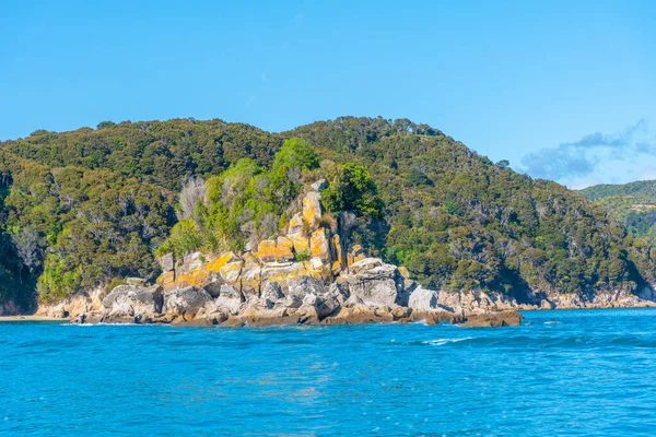 Costa Del Parque Nacional Abel Tasman Nueva Zelanda — Foto de Stock