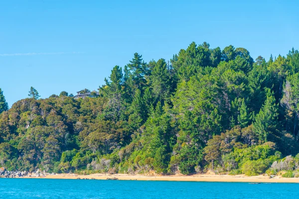 Ακτογραμμή Του Εθνικού Πάρκου Abel Tasman Στη Νέα Ζηλανδία — Φωτογραφία Αρχείου