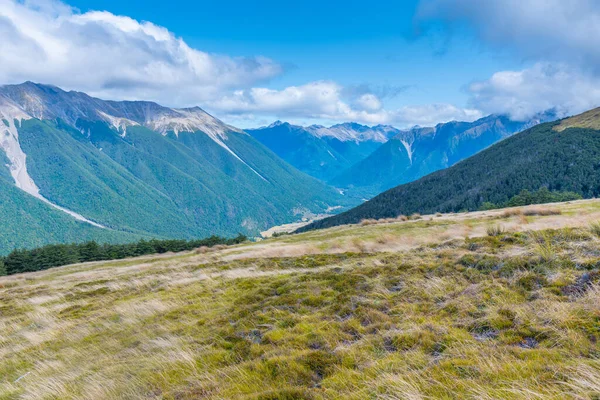 Nelson lakes national park in New Zealand