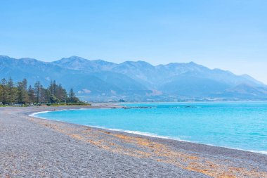 Kaikoura plajı, Yeni Zelanda