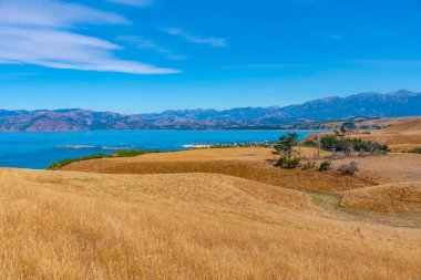 Kaikoura yarımadasının Yeni Zelanda 'daki manzarası