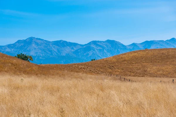 Paesaggio Della Penisola Kaikoura Nuova Zelanda — Foto Stock