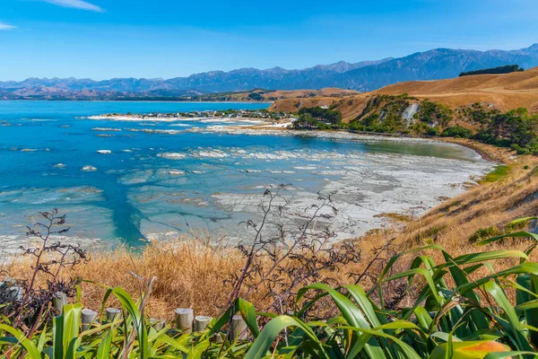 Vista Aérea Pueblo Pesquero Bahía Sur Kaikoura Nueva Zelanda — Foto de Stock