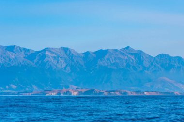 Yeni Zelanda 'da Kaikoura yakınlarında kıyı şeridi