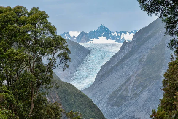 Glaciar Fox Nueva Zelanda — Foto de Stock