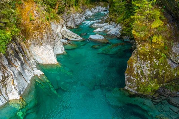 Modré Bazény Řeky Blue Novém Zélandu — Stock fotografie