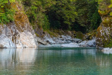 Yeni Zelanda 'daki Blue River' da mavi havuzlar