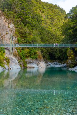 Yeni Zelanda 'daki Blue River' da mavi havuzlar