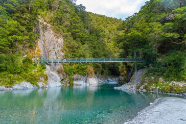 Yeni Zelanda 'daki Blue River' da mavi havuzlar