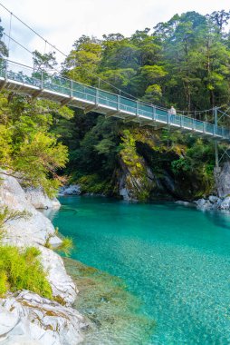Yeni Zelanda 'daki Blue River' da mavi havuzlar