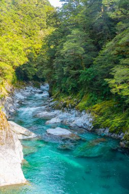 Yeni Zelanda 'daki Blue River' da mavi havuzlar
