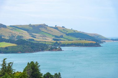 Dunedin, Yeni Zelanda yakınlarındaki Otago yarımadasının manzarası