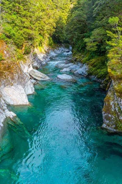 Piscinas Azules Blue River Nueva Zelanda — Foto de Stock
