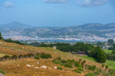 Yeni Zelanda 'daki Dunedin' in hava görüntüsü