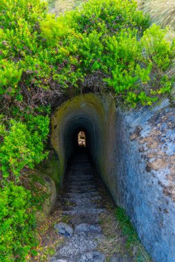 Yeni Zelanda, Dunedin yakınlarındaki tünel plajına giden tünel.